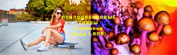 СК Алексин