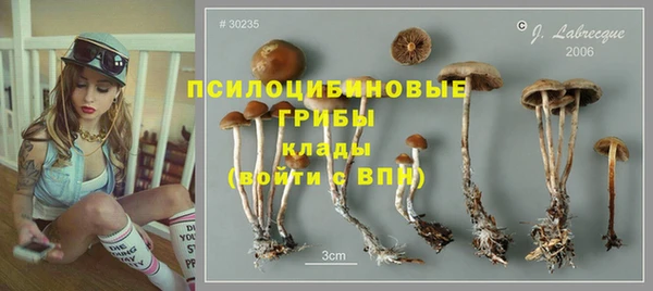 скорость Алексеевка