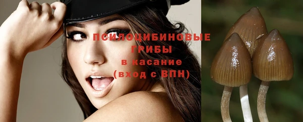 амф Алзамай