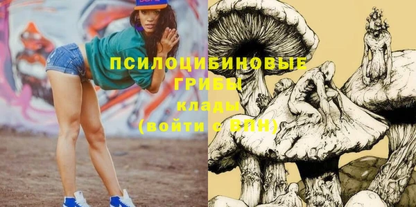 амф Алзамай