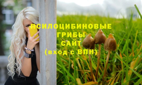 амф Алзамай