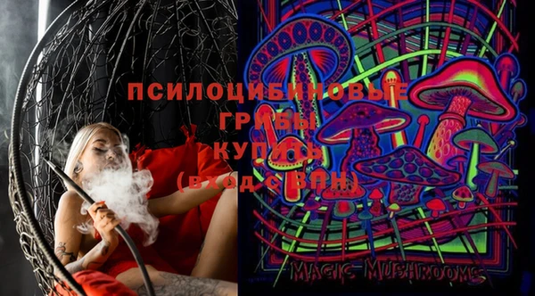 амф Алзамай